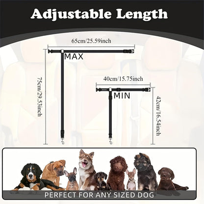 Secure travel solution for dogs in cars