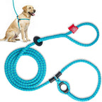 Medium Large size Harness Lead on a dog