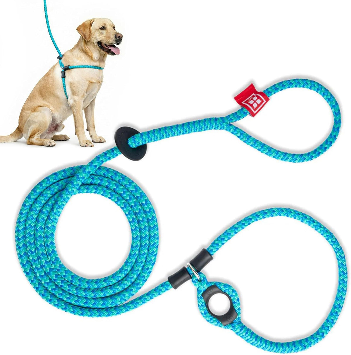 Medium Large size Harness Lead on a dog