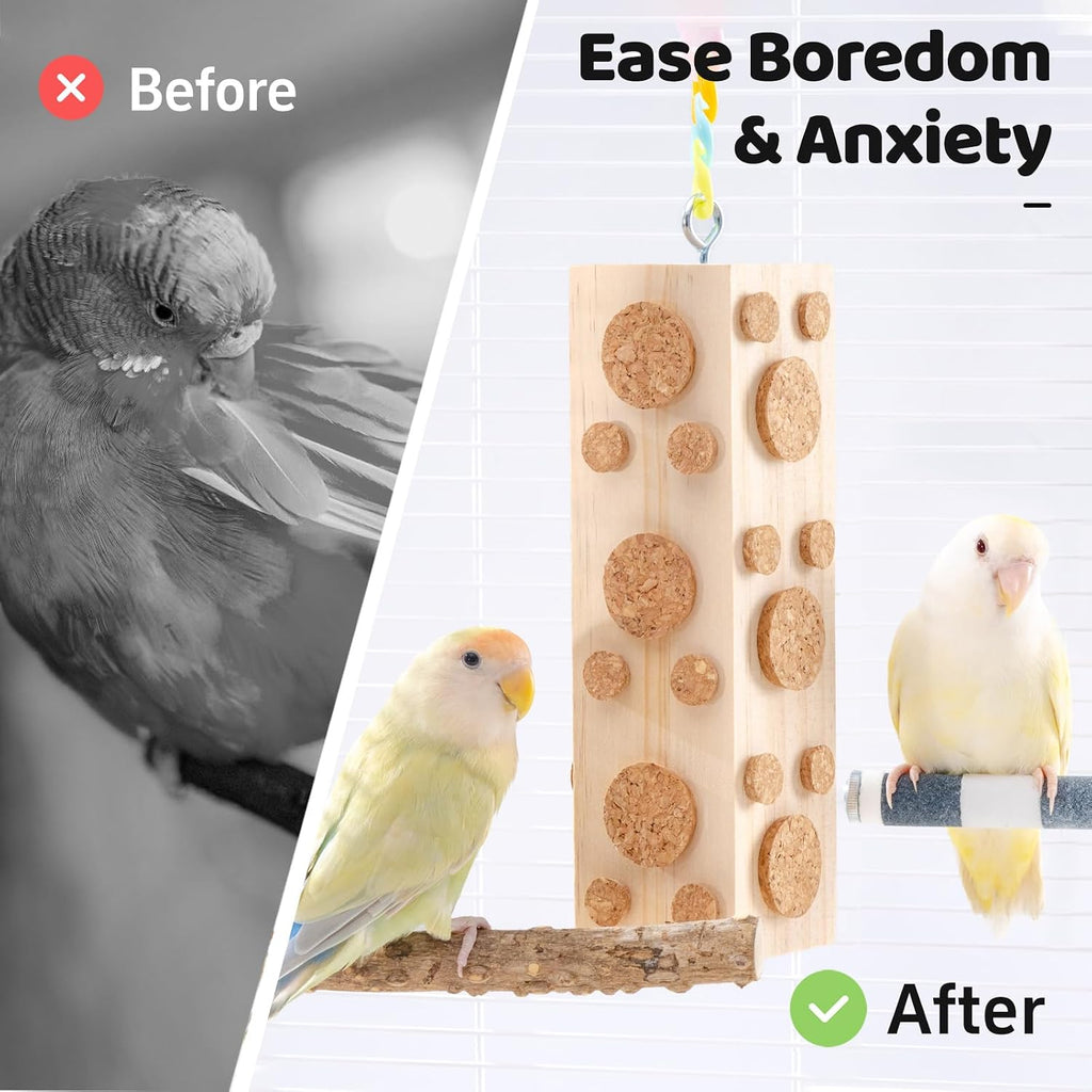 Cockatiel interacting with Jons Nty natural wood bird chew toy