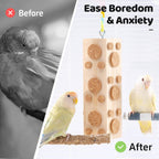 Cockatiel interacting with Jons Nty natural wood bird chew toy