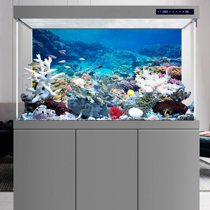 External installation setup guide for the reusable marine life aquarium backdrop poster.