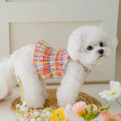 Ruffle collar design on small breed rainbow dog frock