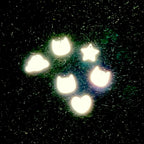 Reflective cat charm showing high visibility material