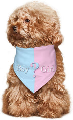 Vercosee he or she what will it be pet bandana on a golden retriever