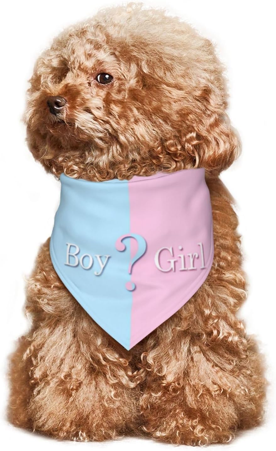 Vercosee he or she what will it be pet bandana on a golden retriever