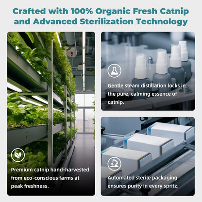 Natural catnip and valerian formula spray bottle with clear ingredient label details.