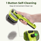 Pecute steam cat brush transparent water tank capacity demonstration