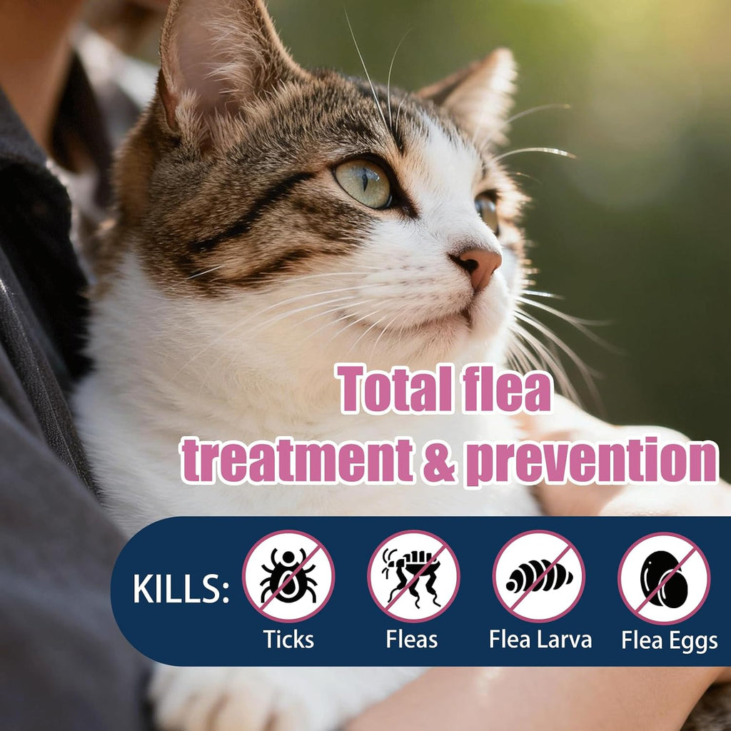 Catego monthly flea prevention for kittens three dose supply