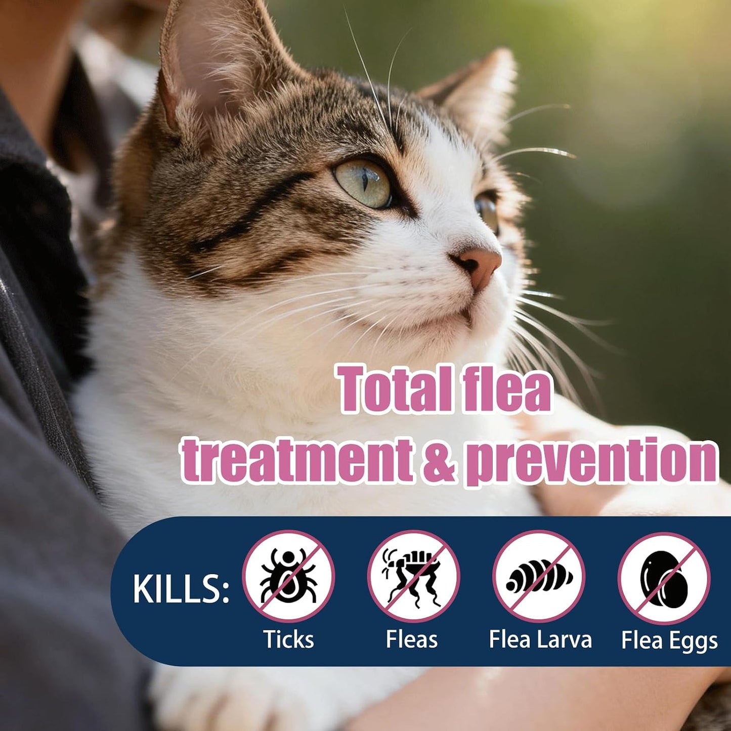 Catego monthly flea prevention for kittens three dose supply