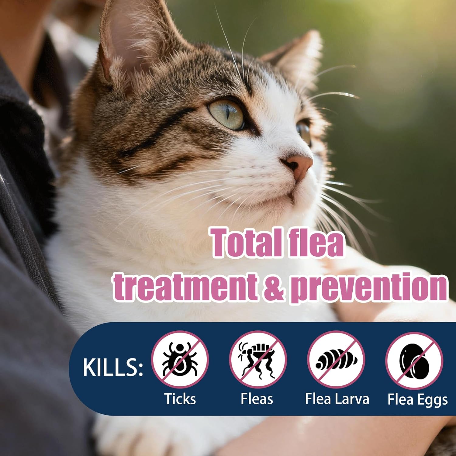Catego monthly flea prevention for kittens three dose supply