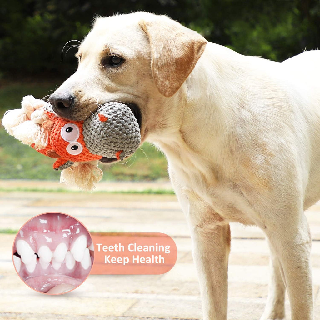 Iokheira heavy duty puppy toy for dental health and teeth cleaning close up