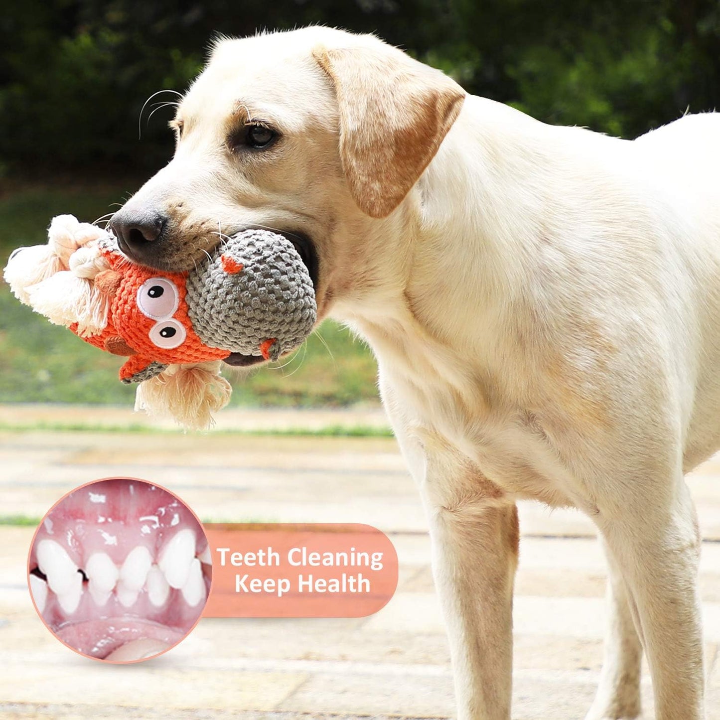 Iokheira heavy duty puppy toy for dental health and teeth cleaning close up