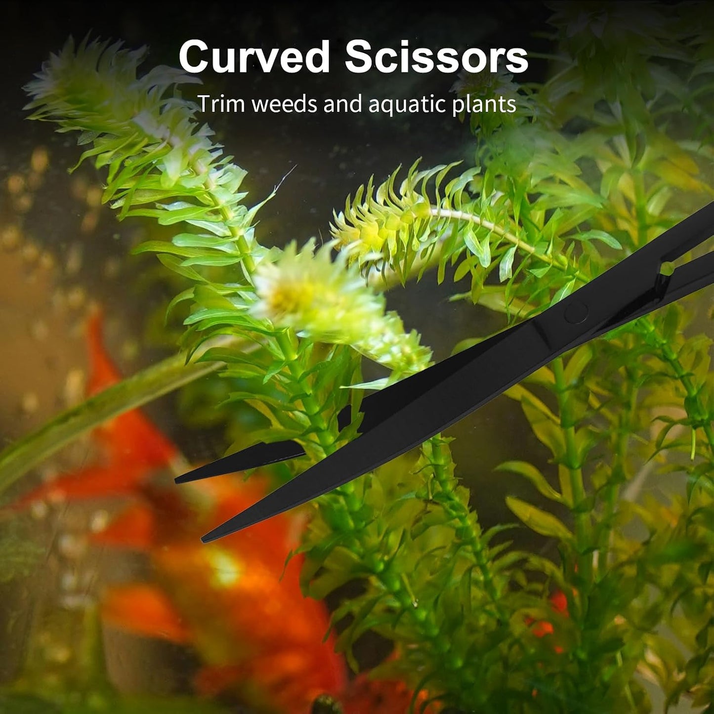 Substrate spatula smoothing down aquarium sand and leveling the fish tank floor