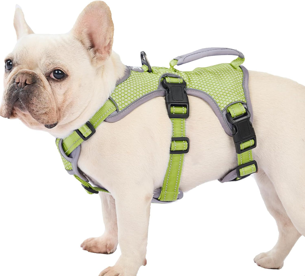 Huntboo Escape Proof Dog Harness, Escape Artist Harness, Reflective Dog Harness with Handle, Durable,Adjustable Vest for Small Medium Large Dogs Walking, Training, and Running Gear(Technicolor Blue,S) - Image 12