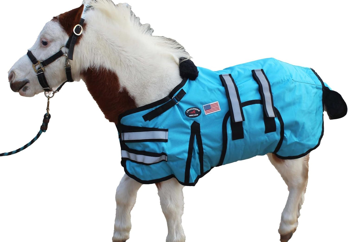 Challenger 32 to 36 inches small miniature horse blanket package showcasing authentic imported design elements
