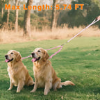 Two extra traffic handles on a dual dog leash for close control
