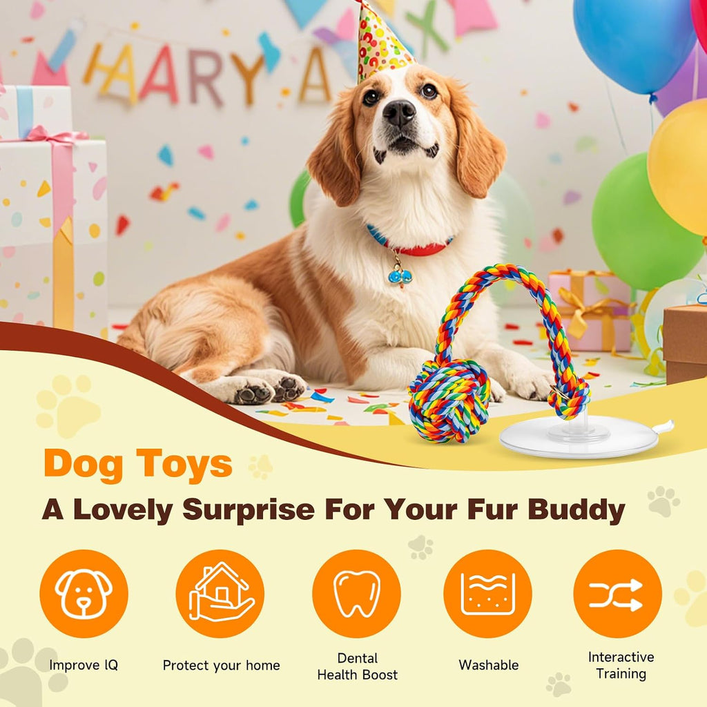 Puppy teething toy rope with strong suction cup base for independent playtime