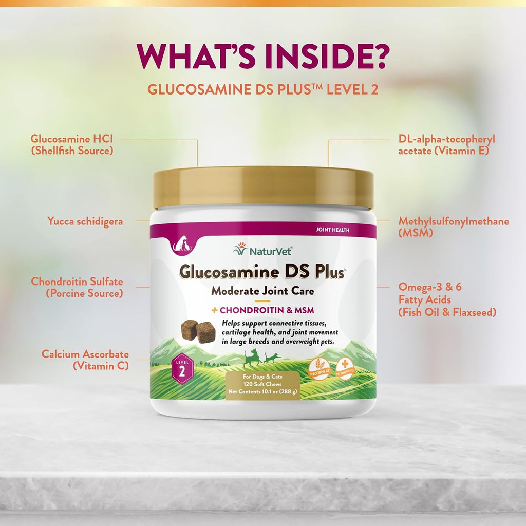 Close up view of the 120 count NaturVet Glucosamine DS Plus container label