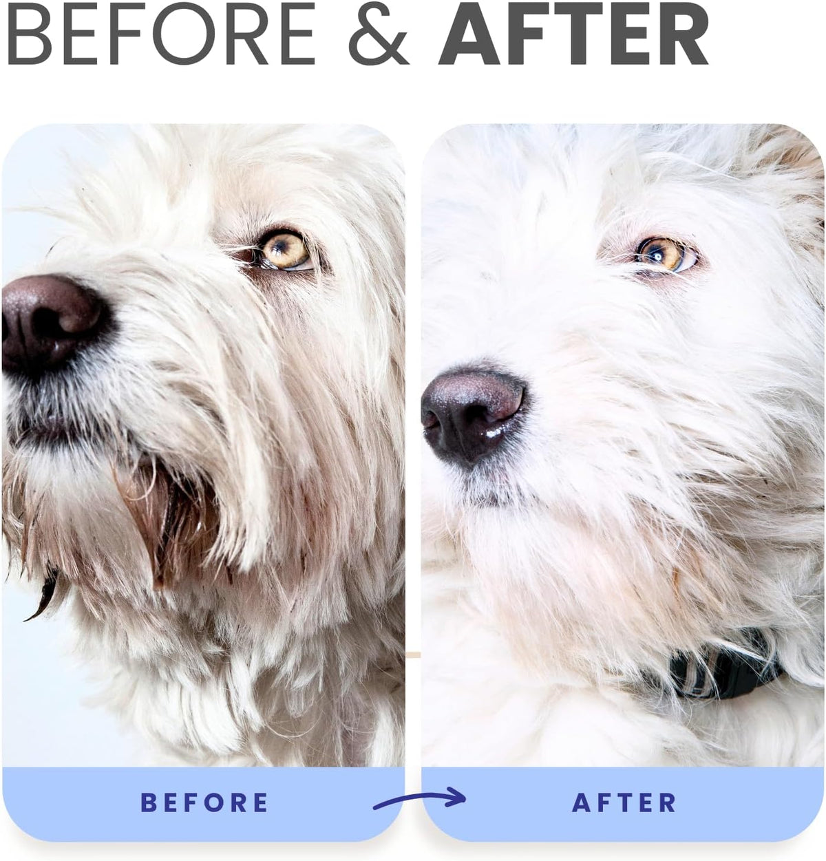Tear free sulfate free whitening conditioner for puppies