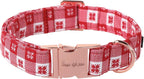 Unique Style Paws adjustable puppy collar on soft background