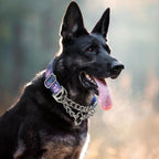 Adjustable anti pull pet collar with dual metal rings detail.