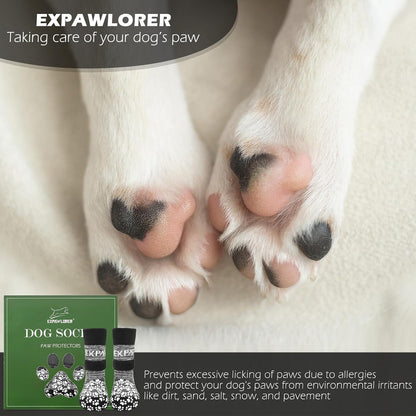 Expawlorer 6 piece dog socks set packaging