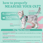 Rabbitgoo green and pink small cat harness vest