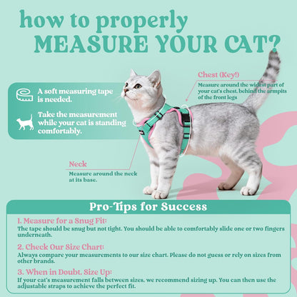 Rabbitgoo green and pink small cat harness vest
