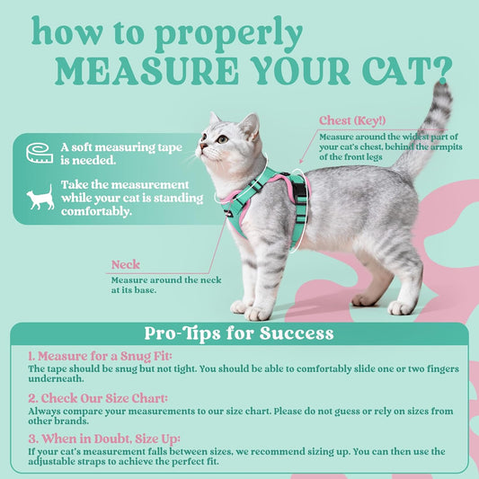 Rabbitgoo green and pink small cat harness vest