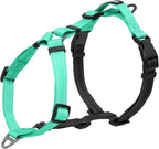 Comparison of Kazazoo harness fit on large dog breed