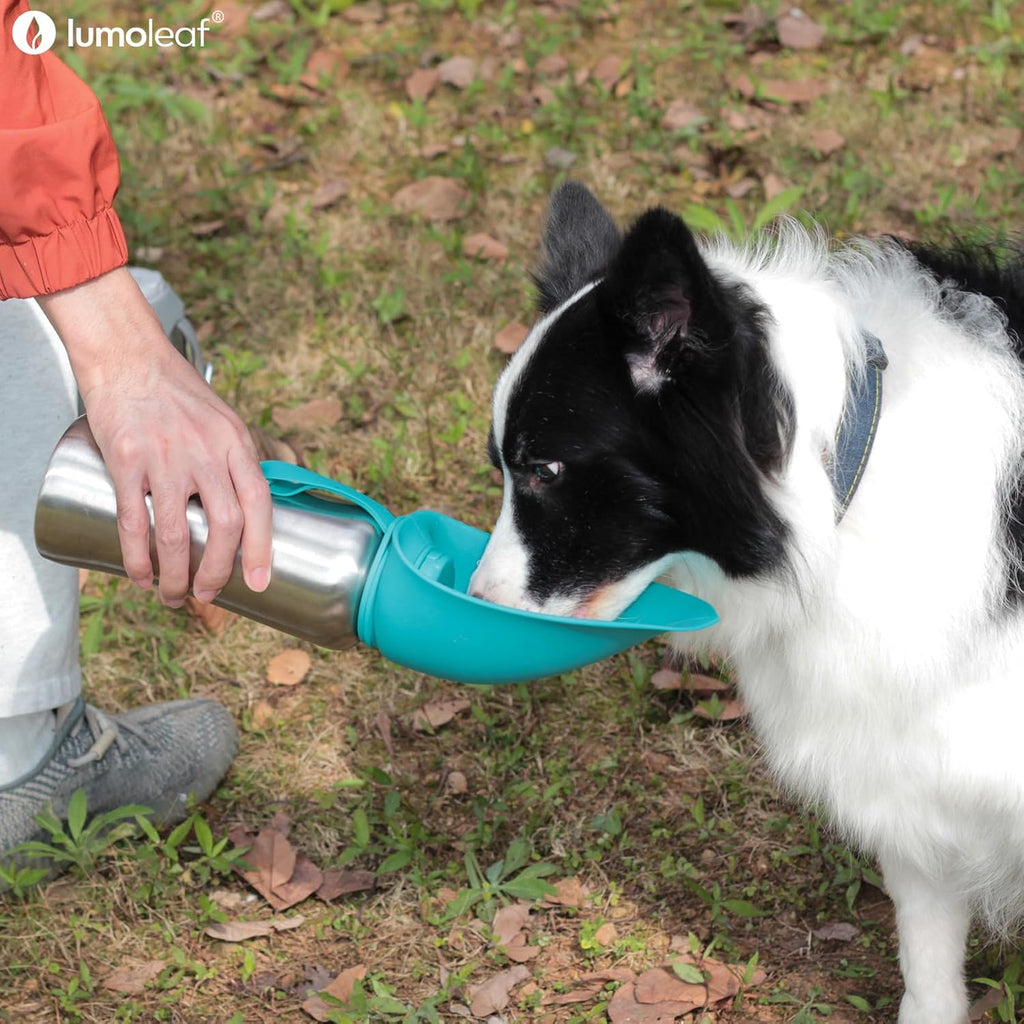 LumoLeaf stainless steel pet water bottle blue variant with flip out silicone bowl
