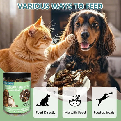 Natural high protein grain free quail treats for sensitive stomach pet diets