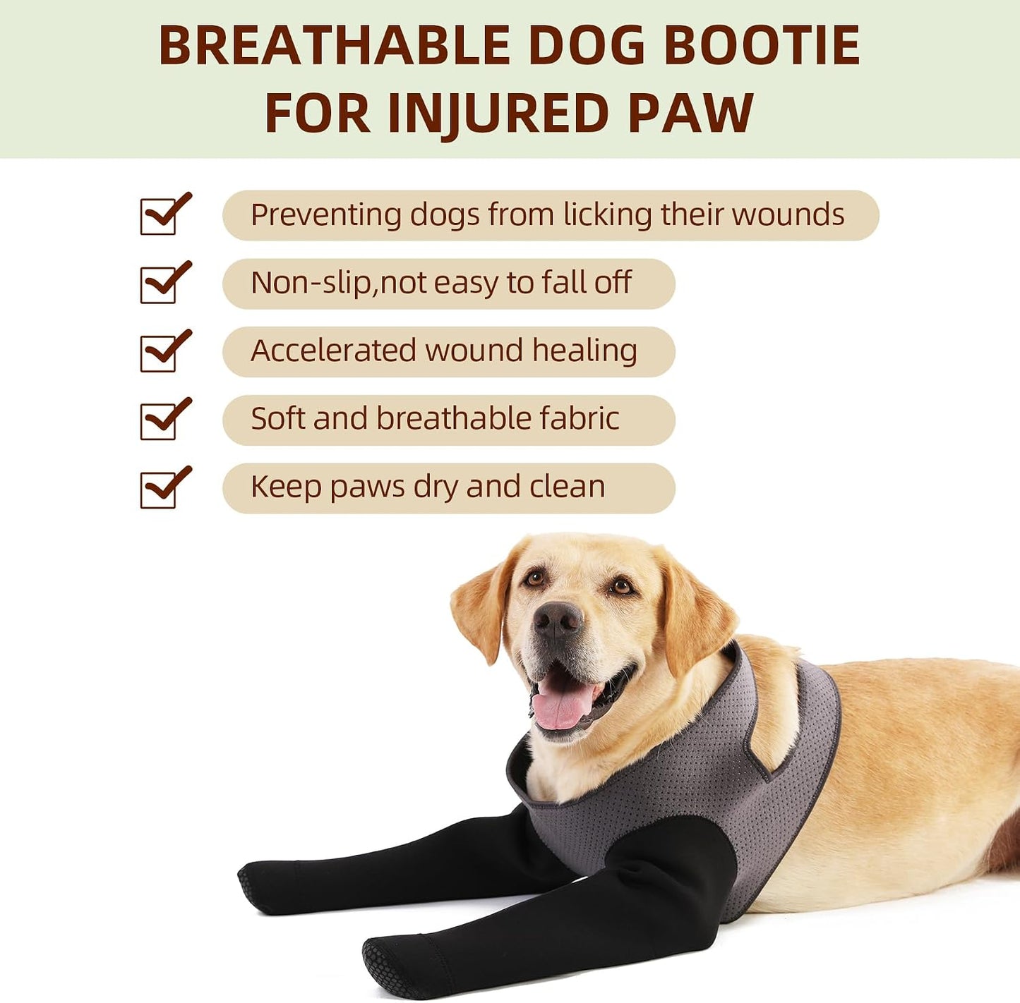 Dog wearing Grettytling anti-lick sleeve for wound care