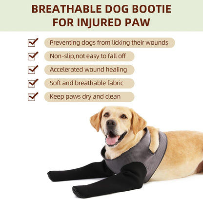 Dog wearing Grettytling anti-lick sleeve for wound care
