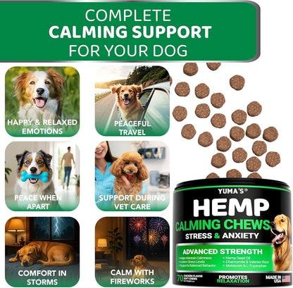 Dog anxiety relief supplement with melatonin and hemp oil for stress reduction.