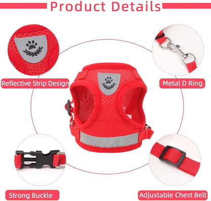 Reflective strap detail on small dog walking vest.