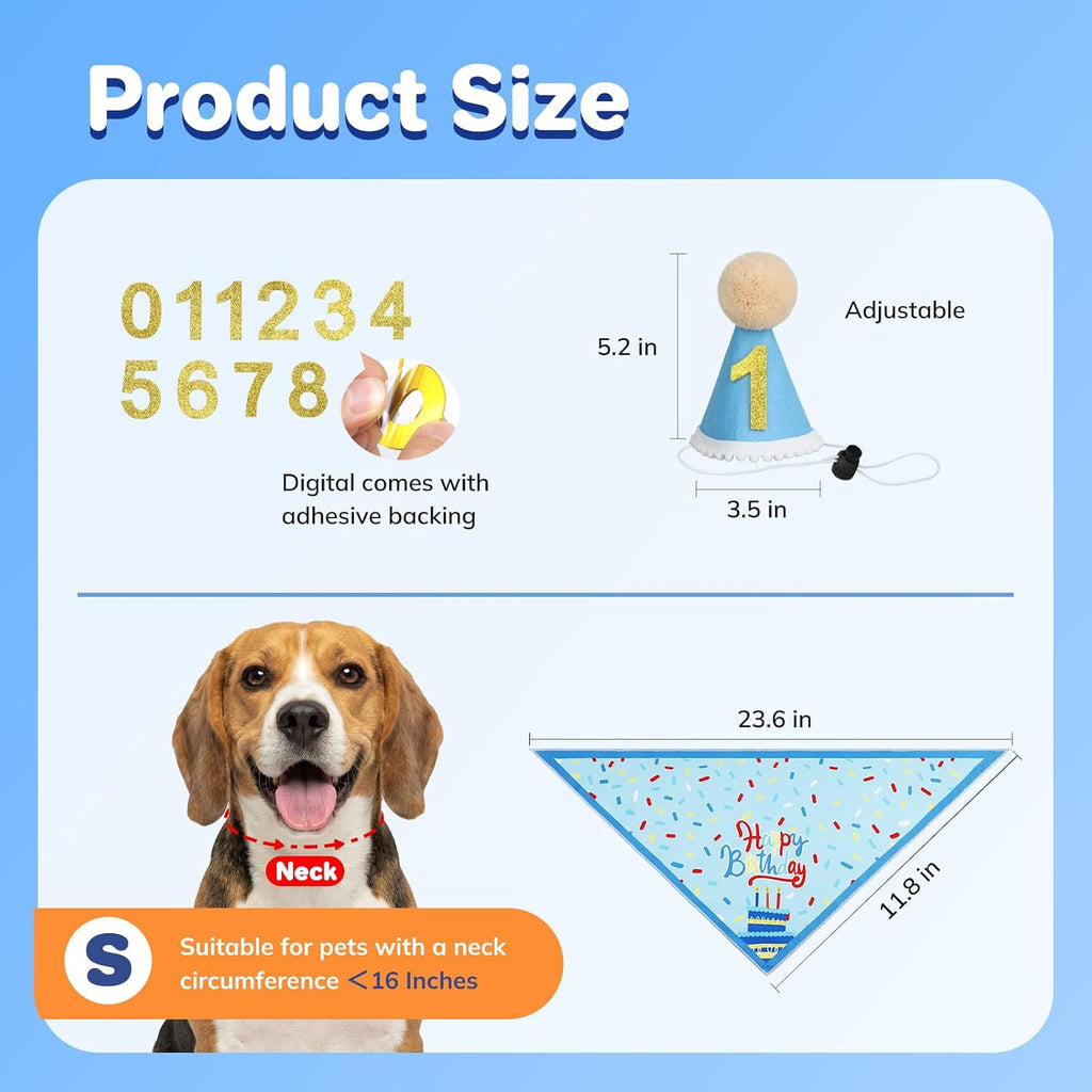 Supet dog birthday kit components with glitter numbers