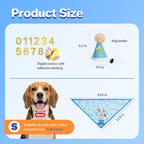 Supet dog birthday kit components with glitter numbers
