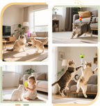 Close up of the colorful feather and small bell attachments for indoor cat exercise