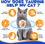 Unflavored taurine powder being mixed into wet cat food