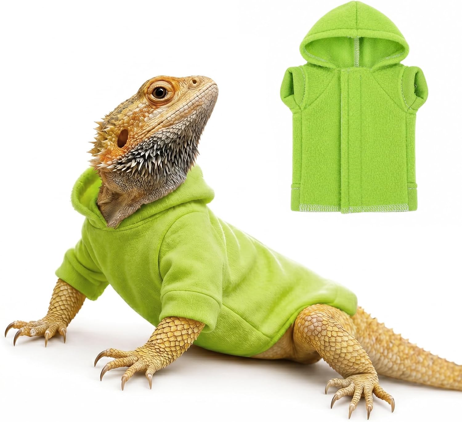 Husoiuy lizard clothes bearded dragon hoodie front view
