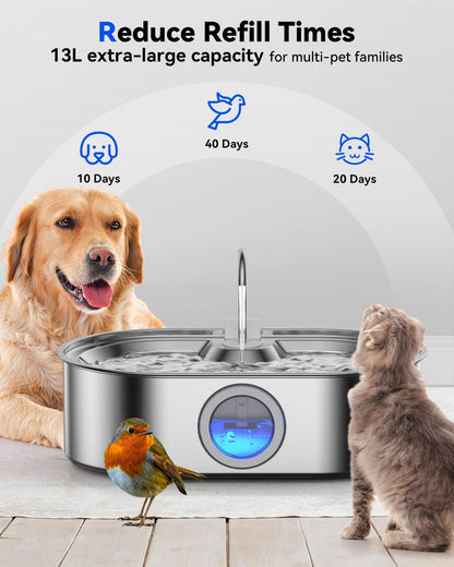 Large dog drinking from Ecoconut stainless steel fountain