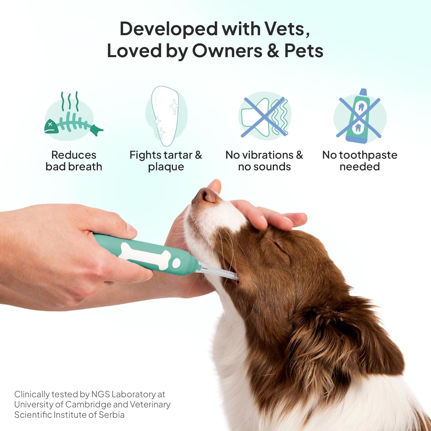Comparison of Petsie brush head size for small dogs