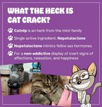 Cat Crack Catnip, Zoomie-Inducing Cat Nip, 100% Natural North American Made - Image 2