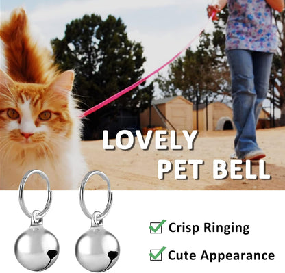 Silver tracking bells for kittens and puppies product shot