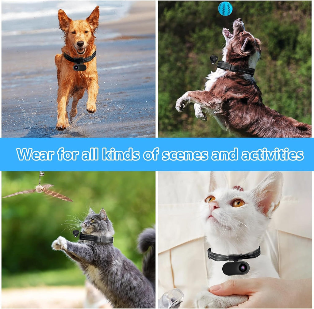 Pet wearing ehomful hd 1080p body camera on collar