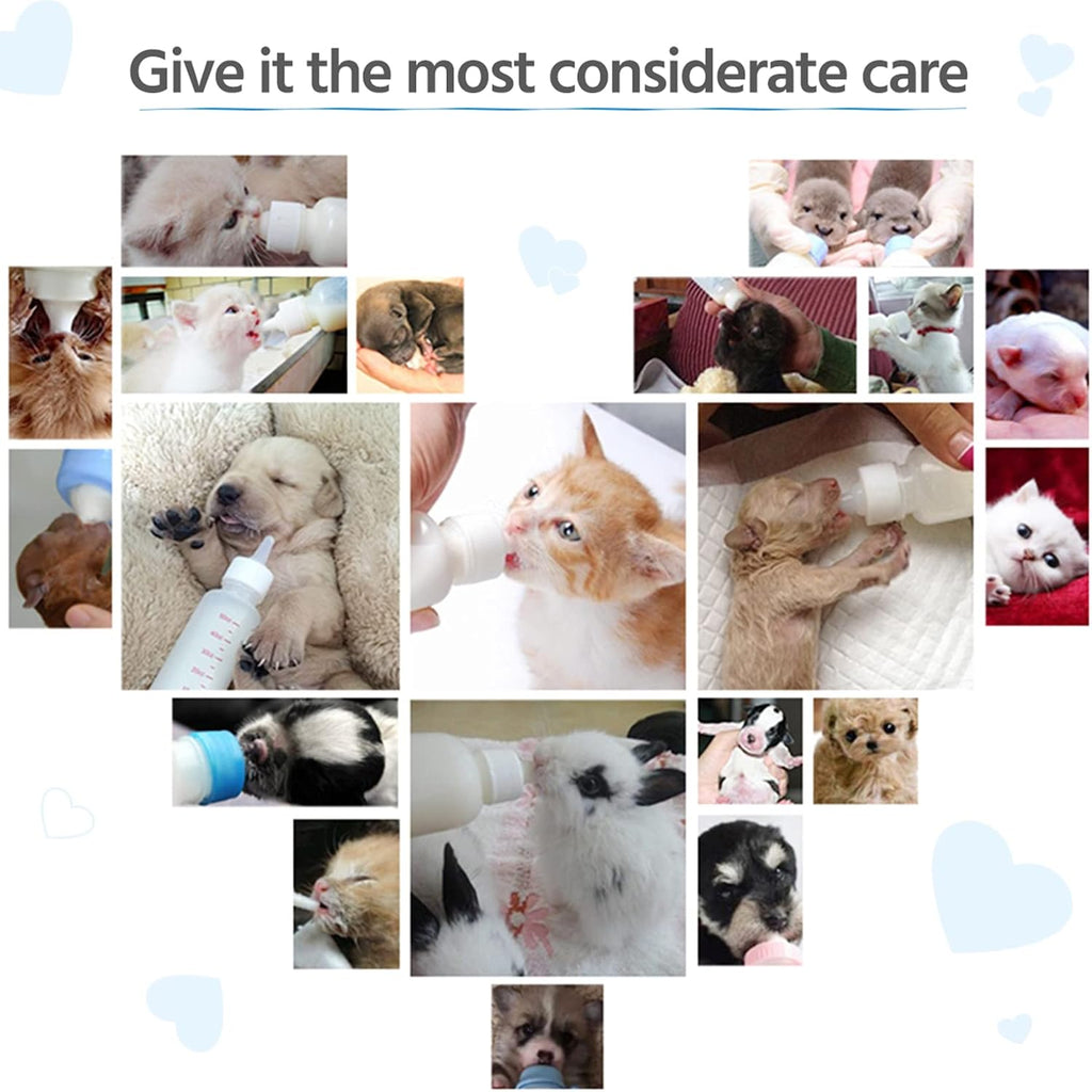 Educational display of FJNATINH feeding accessories for newborn pets