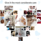 Educational display of FJNATINH feeding accessories for newborn pets