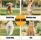 Meekamar retractable leash in use with medium sized dog